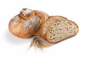 Nebyl vybrán žádný obrázek 