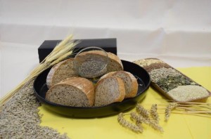 Nebyl vybrán žádný obrázek 