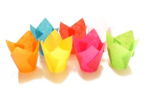 Košíček pap.TULIP-všetky farby