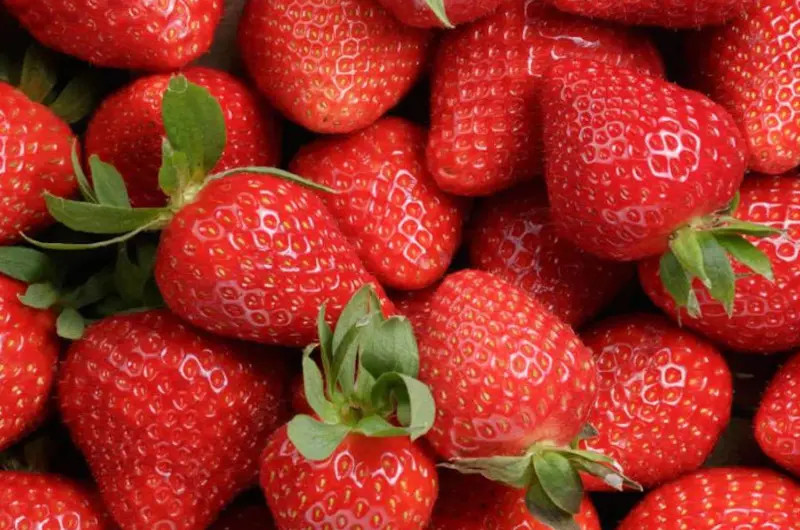 Ovocné náplně do pečiva